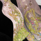 Gorgeous Sparkling Pink Beaded Applique Mermaid Design Exquisite Embroidery Evening Dress Prom Dresses DP6174