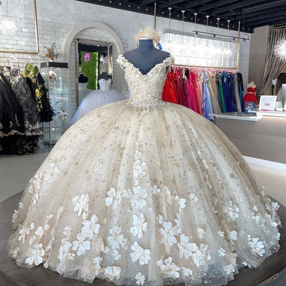 Elegantes Elfenbein V-Ausschnitt Applikation A-Linie Ballkleid für Sweet 16 Quinceanera Geburtstagskleid Abendkleid Ballkleid DP6519