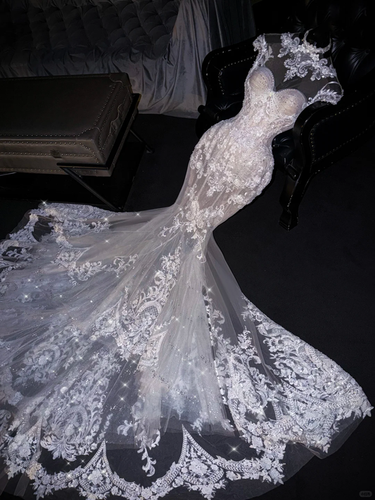 Glamorous Lace Mermaid Embroidery Sparkling Tulle Matching Veil Wedding Dress DP7311