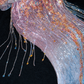 Fashion Sparkling Beaded Sequin Mermaid Elegant Chiffon Evening Dress Prom Dresses DP6165