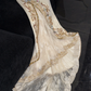 Robe de soirée sirène élégante, beige scintillante, ornée de perles et de paillettes, DP6230