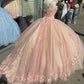 Retro Pink Sweetheart Appliqued 3D Flower A-Line Tulle 18 Birthday Quinceanera Dresses Evening Ball Gowns DP6138