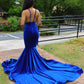 Charming Blue Spaghetti Straps V-neck Transparent lace Column Mermaid Prom Dresses,F04786