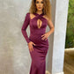 Wonderful Purple Evening Dress,DS5113