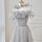 GRAY TULLE OFF SHOULDER LONG PROM DRESS, GRAY TULLE FORMAL DRESS,DS3392