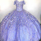 Tulle Sweetheart Ball Gown Prom Dresses Quinceanera Dresses,DS4349