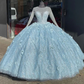 Glamorous Light Blue Beaded Long-Sleeve Quinceañera 3D Flowers Ball Gown DS4411