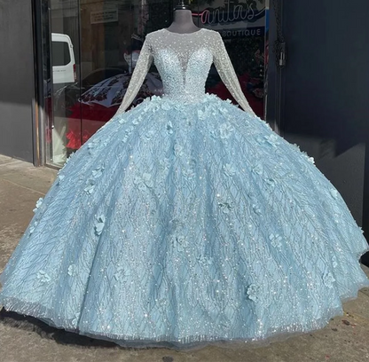 Glamorous Light Blue Beaded Long-Sleeve Quinceañera 3D Flowers Ball Gown DS4411