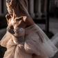 Fancy Off-the-Shoulder Sweetheart Tulle A-Line Long Prom Dress,WD5743