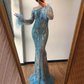 Luxurious Long Sleeves Feathers Sequin Evening Gowns(2 Colors),DS4738