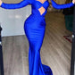 Floor-Length Long Sleeves Trumpet/Mermaid Evening Dress,DS3747